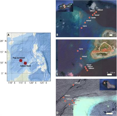 Nearshore to Offshore Trends in Plankton Assemblage and Stable Isotopes in Reefs of the West Philippine Sea